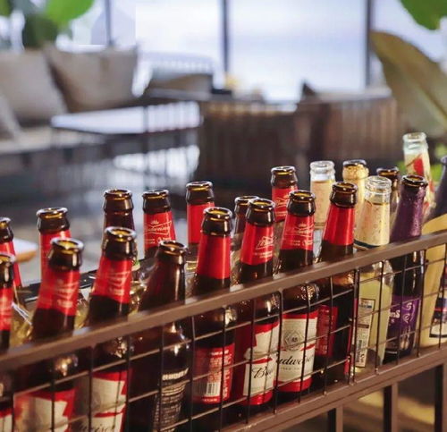 太過癮了 天津這家新晉網(wǎng)紅打卡圣地,人均10元喝過癮 阿拉伯水煙 百威啤酒 特調(diào)飲品...