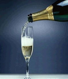 香檳汽泡酒圖冊