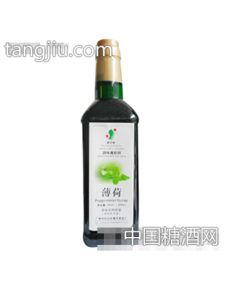 調味魔飲師薄荷味果味濃漿招商 廣州市白云區(qū)健宇食品廠 糖酒網tangjiu.com