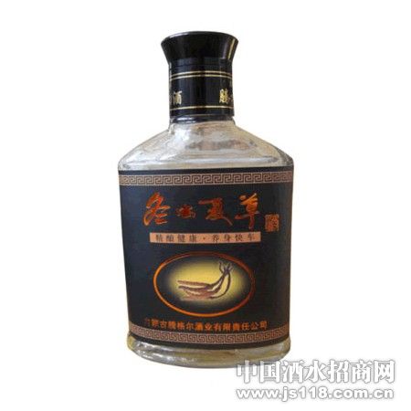 產品推廣 內蒙古騰格爾酒業(yè)