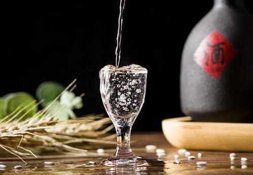 珍酒李渡赴港上市 白酒教父爭奪醬酒第二股，預(yù)包裝食品市場迎來新機遇